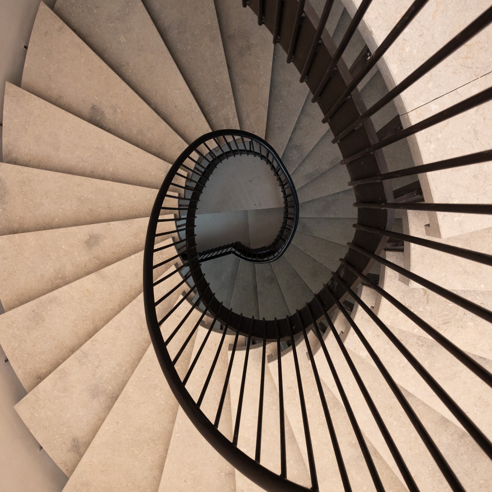 ART NIGHT: SCALA DEL DUBBIO, DI CARSTEN HOLLER