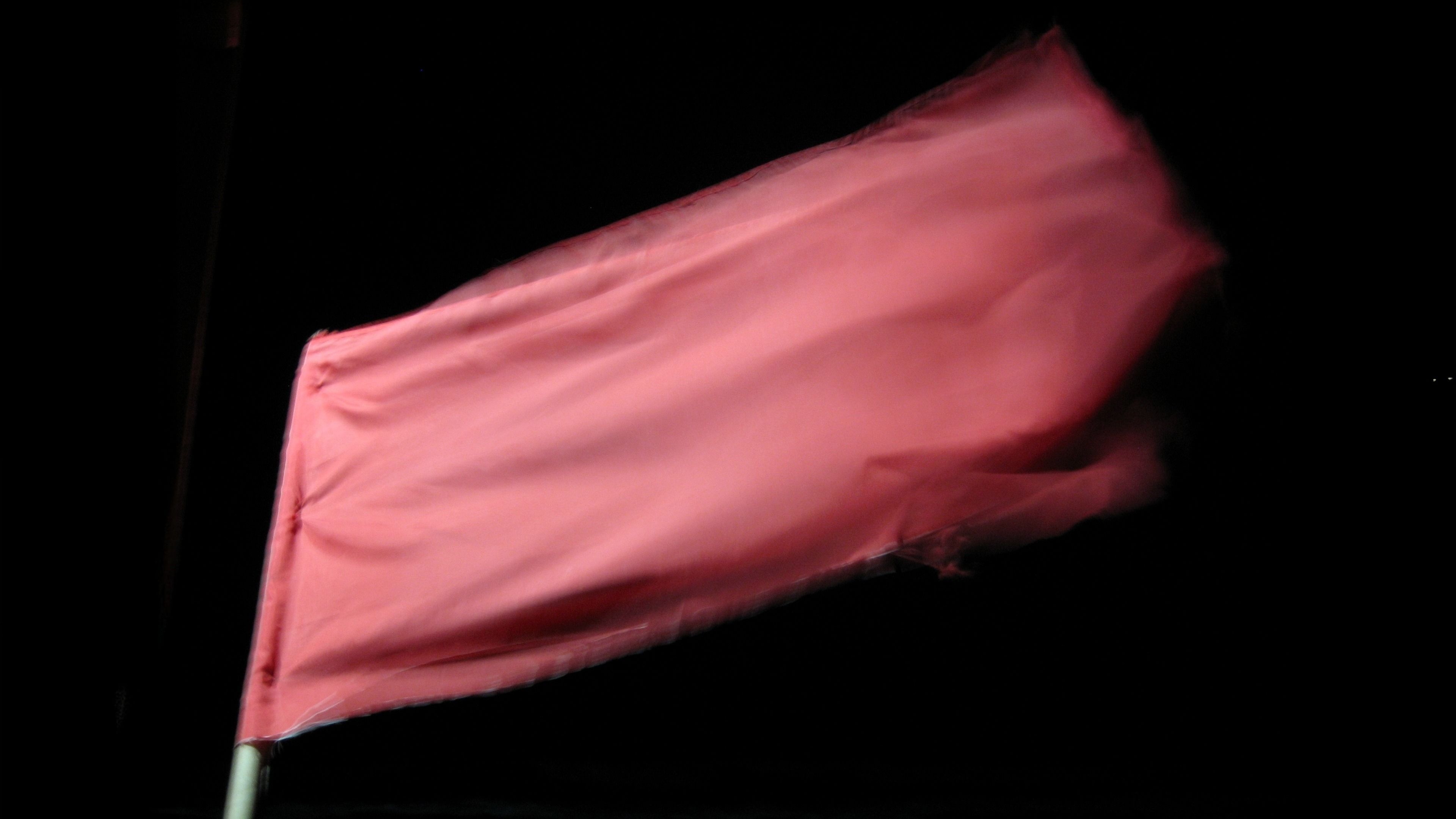 Giulia Piscitelli: Video